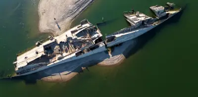 Sequía en el Danubio revela huesos de mamut y puente romano