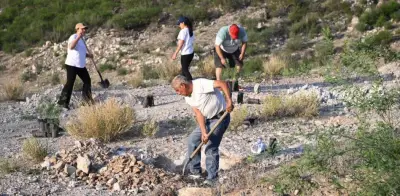 Sonora planta 13 mil árboles nativos en Jornada Nacional de Reforestación