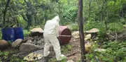 Armada destruye 3 laboratorios clandestinos de drogas en Sinaloa