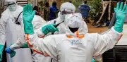 Ébola en Congo y Uganda: brote surgió por nueva transmisión animal