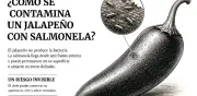 Brotes de salmonela en jalapeños: 345 casos confirmados en EE. UU.