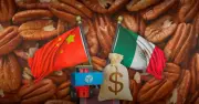 China impone cuotas a nuez pecana mexicana y de EU