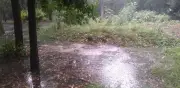 Cierran Viveros de Coyoacán por inundación y lluvias intensas