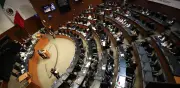 Colectivos feministas señalan 12 riesgos de impunidad en ley contra el feminicidio