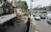 Derrumbe en Viaducto exhibe riesgo de edificios dañados sin intervención