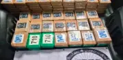 Detienen en Tlalpan a persona con 217 kg de cocaína: García Harfuch