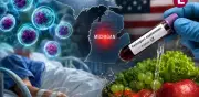 Dos muertes por ciclosporiasis en Michigan: brote de diarrea explosiva