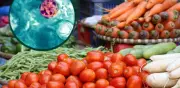 ¿El vinagre elimina la Cyclospora? Infectóloga responde