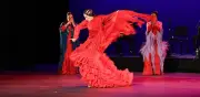 Festival Internacional Flamenco MX llega a CDMX del 18 al 25 de agosto