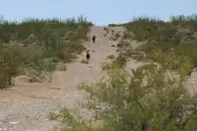 Hallan 73 cadáveres de migrantes en desierto de Arizona en 2026