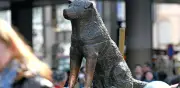 Inauguran parque Shibuya en Miraflores con estatua de Hachiko