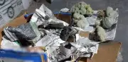 Incautan peyote en paquetería de Sonora: origen Coahuila y destino Baja California