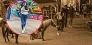 Indignación por video de joven que agrede a pony en feria de SLP