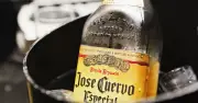 José Cuervo: Dos siglos de historia desde el Virreinato hasta la Bolsa Mexicana
