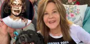 Linda Blair, investigada por operación irregular con perros