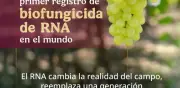 México otorga primer registro mundial a biofungicida de RNA