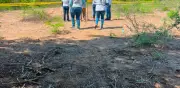 Nayarit registra 154 desapariciones y crisis institucional con madres buscadoras