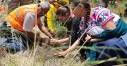 Plan Nacional de Reforestación: Sheinbaum convoca a gobernadores y sembrará miles de árboles