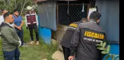 Rescatan 14 perros en condiciones precarias en Ixtapaluca tras denuncias