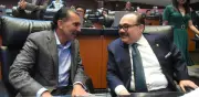 Rescatan tigres de Bengala en Durango; PVEM destaca reforma ambiental