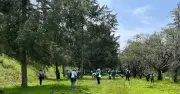 Sheinbaum decreta el segundo domingo de agosto como Día Nacional de Reforestación