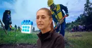 Sheinbaum decreta reforestación anual el segundo domingo de agosto