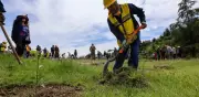 Sheinbaum siembra 6 millones de árboles en Jornada Nacional de Reforestación