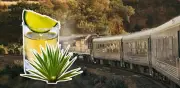 Tren Tequila Express: nueva experiencia para descubrir el pueblo mágico